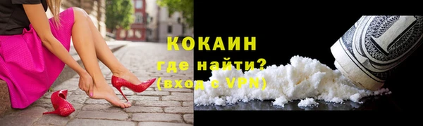 PSILOCYBIN Дмитриев