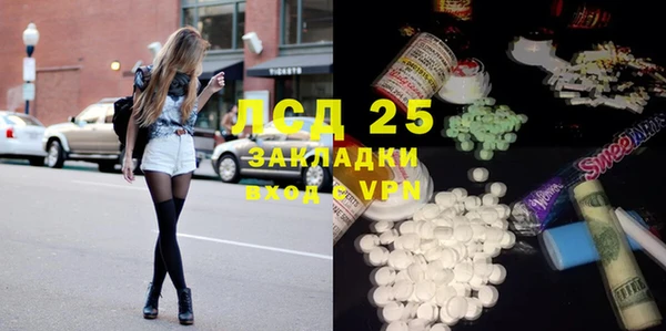 PSILOCYBIN Дмитриев
