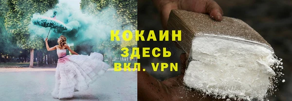 PSILOCYBIN Дмитриев