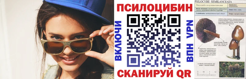 Галлюциногенные грибы Psilocybe  цены наркотик  Нурлат 