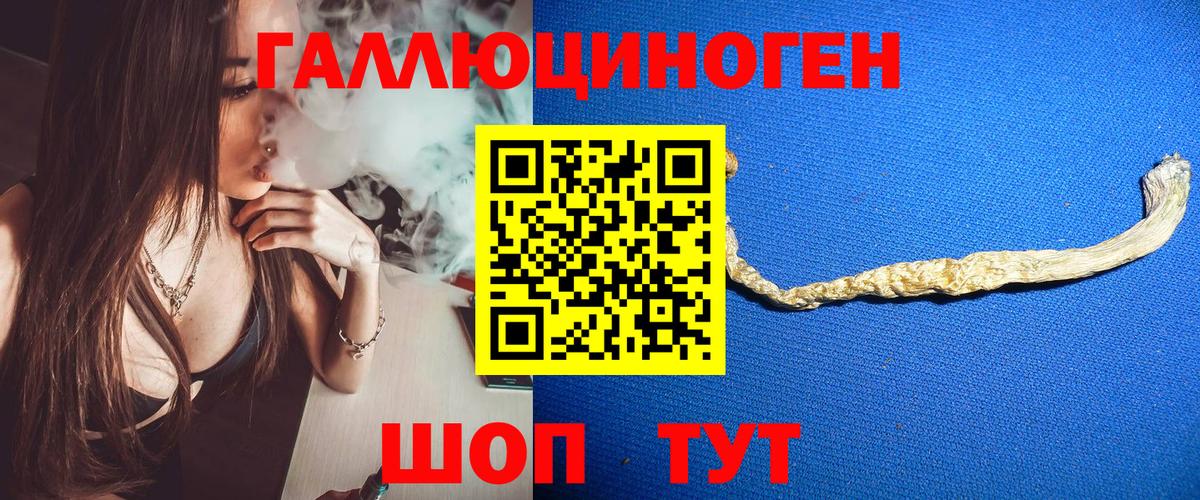 Галлюциногенные грибы Cubensis  Галлюциногенные грибы мицелий  Вход с VPN  Нурлат 