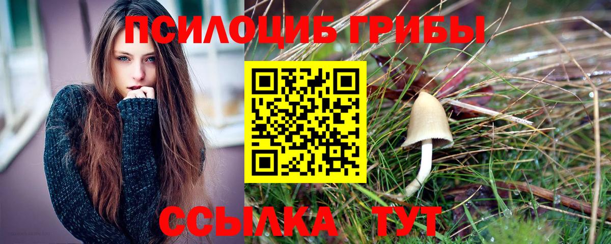 Псилоцибиновые грибы Magic Shrooms Нурлат